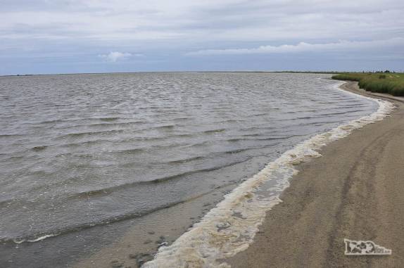 Parque Nacional da Lagoa do Peixe, no sul do Rio Grande do Sul, entre a Lagoa dos Patos e o Oceano Atlântico